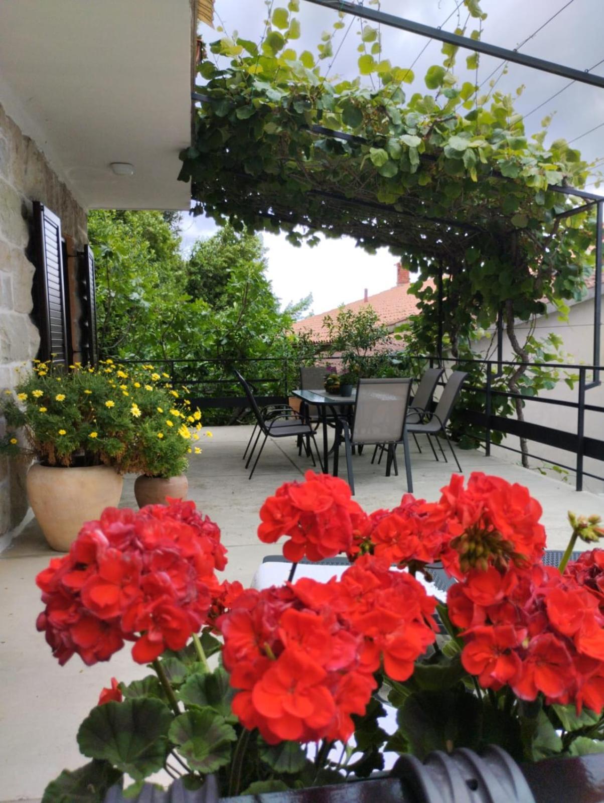 Nonna Laura Adriatic Dream Apartment With Sea View Rabac Exterior photo